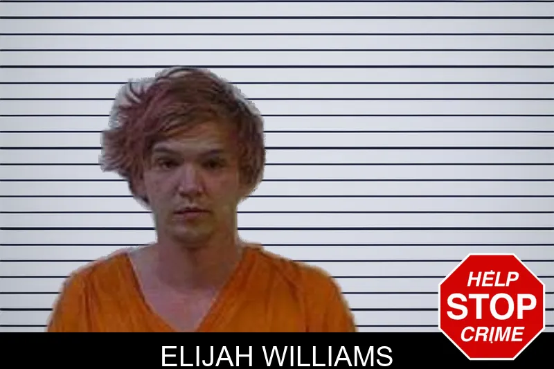 Elijah Williams Mugshots