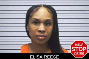 Elisa Reese mugshot