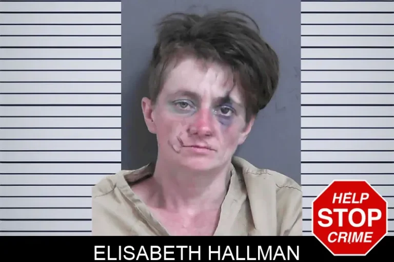 Elisabeth Hallman mugshot – Gordon County , Georgia Elisabeth Hallman