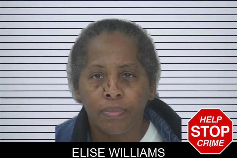 Elise Williams Mugshots