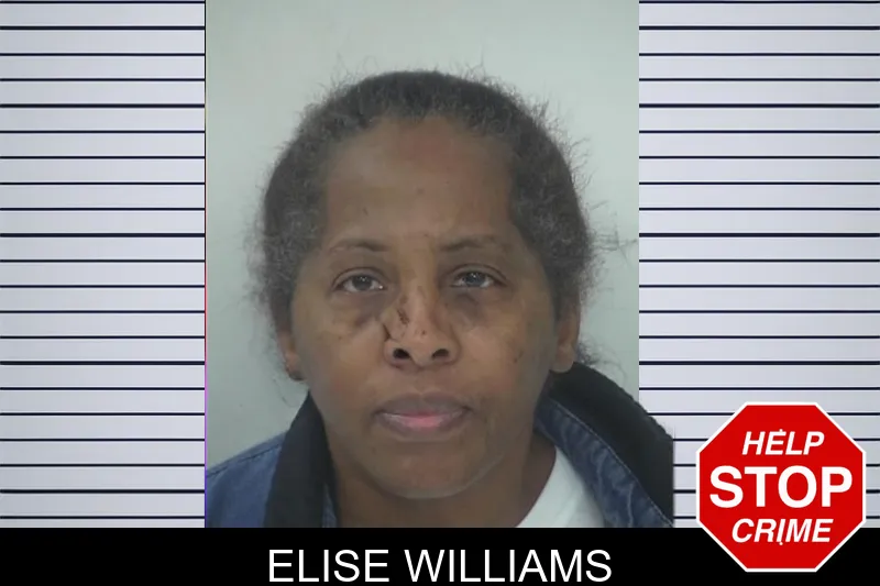 Elise Williams Mugshots