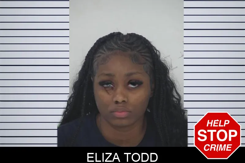 Eliza Todd Mugshots