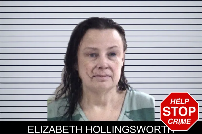 Elizabeth Hollingsworth mugshot