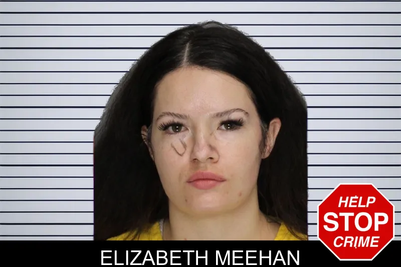 Elizabeth Meehan mugshot – Cobb County , Georgia Elizabeth Meehan mugshot