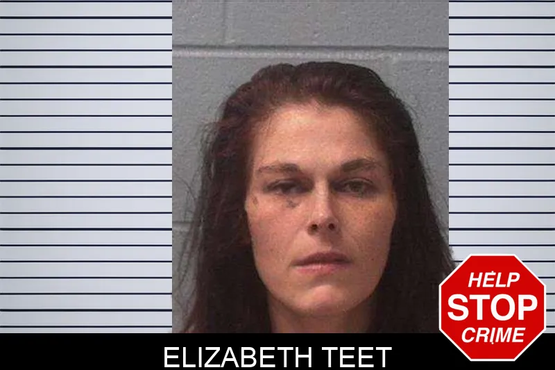 Elizabeth Teet mugshot – Franklin County , Georgia Elizabeth Teet mugshot