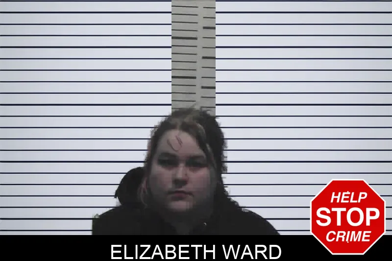 Elizabeth Ward mugshot – Meriwether County , Georgia Elizabeth Ward mugshot