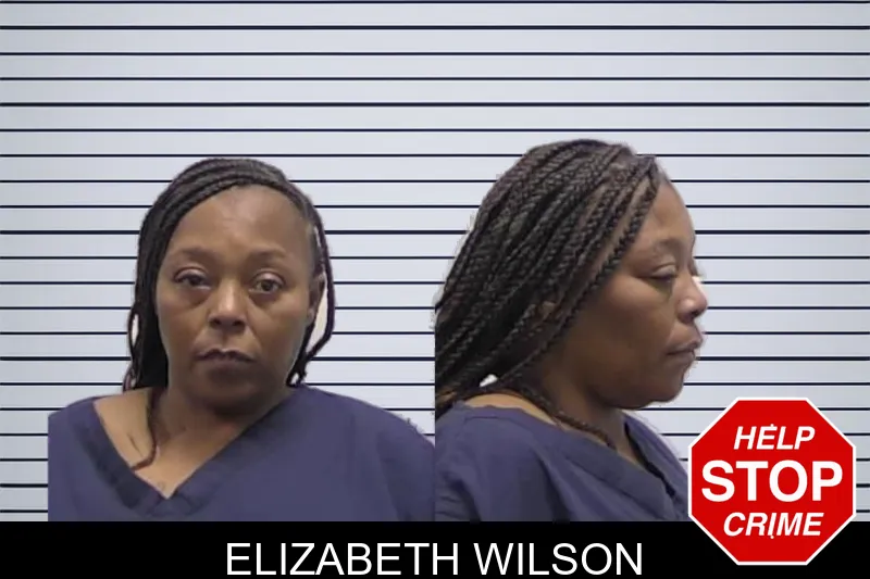 Elizabeth Wilson Mugshots