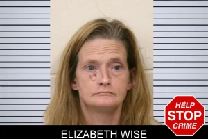 Elizabeth Wise mugshot