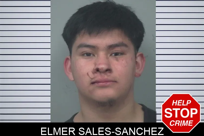 Elmer Sales-Sanchez mugshot