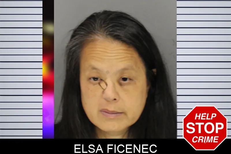 Elsa Ficenec Mugshots