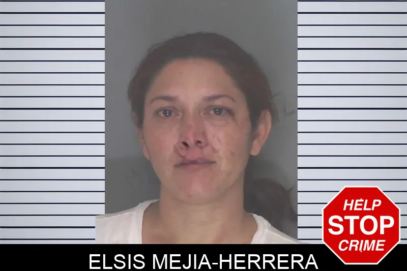 Elsis Mejia-Herrera Mugshots