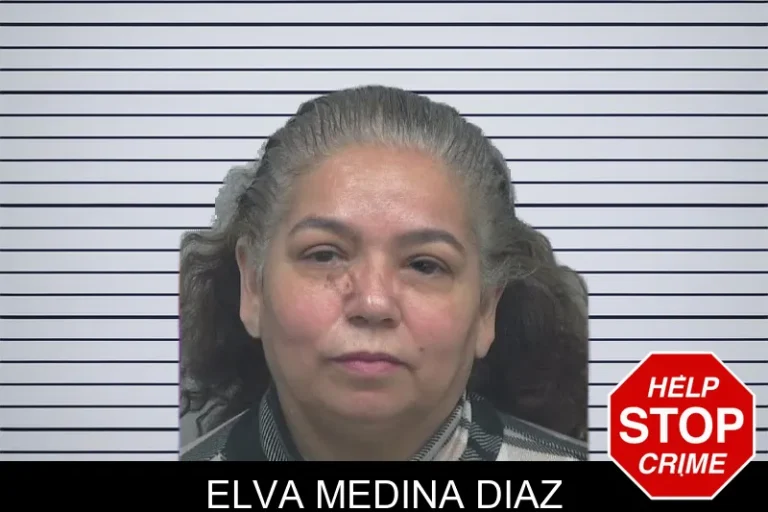 Elva Medina Diaz mugshot – Gwinnett County , Georgia Elva Medina Diaz