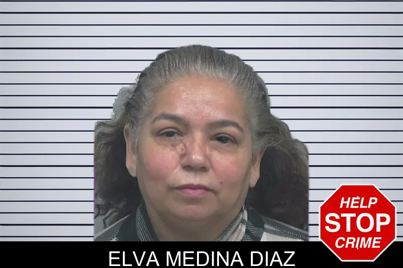 Elva Medina Diaz mugshot – Gwinnett County , Georgia Elva Medina Diaz mugshot