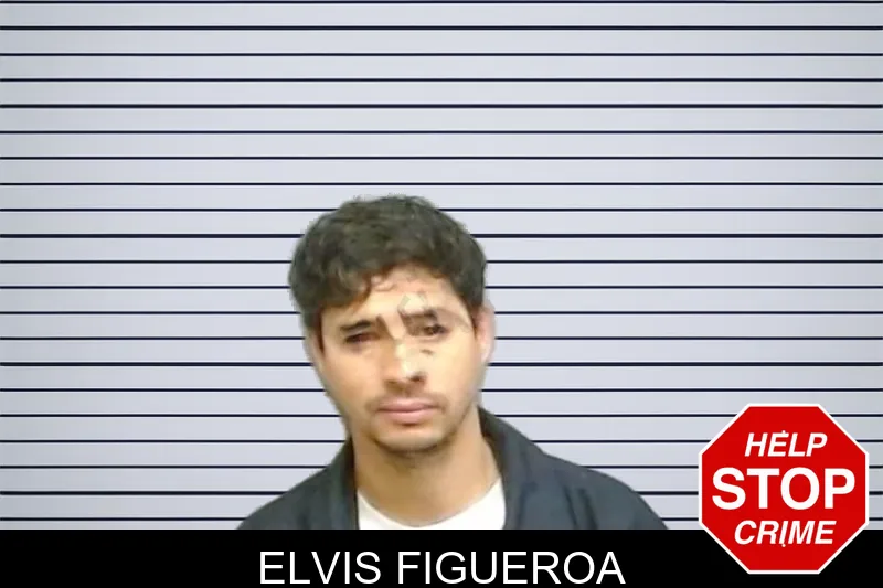 Elvis Figueroa mugshot
