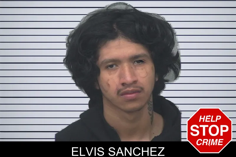 Elvis Sanchez Mugshots