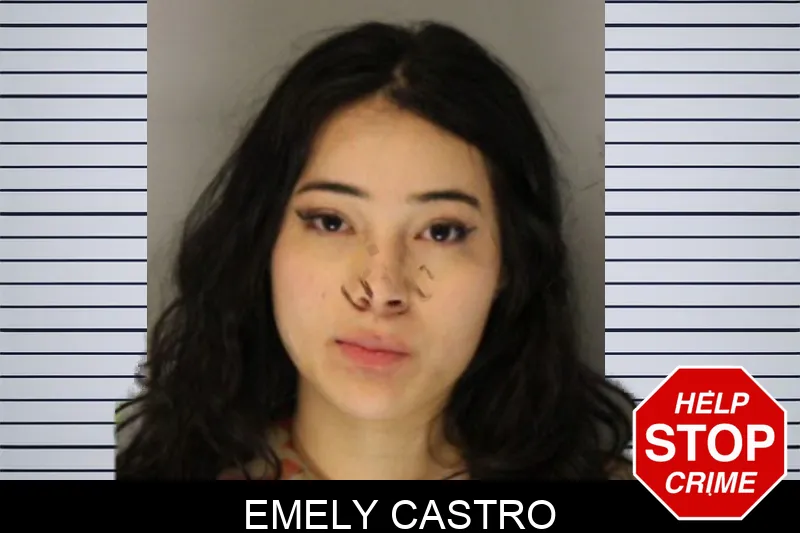 Emely Castro Mugshots