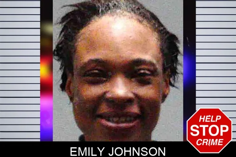 Emily Johnson mugshot – Burke County , Georgia Emily Johnson