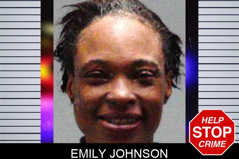 Emily Johnson Mugshots