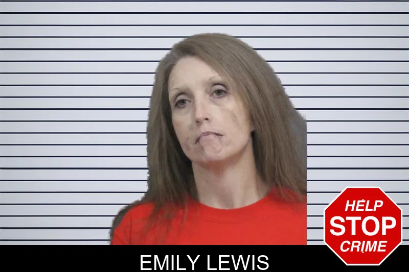 Emily Lewis mugshot – Catoosa County , Georgia Emily Lewis mugshot