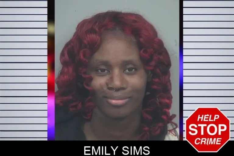 Emily Sims mugshot – Gwinnett County , Georgia Emily Sims