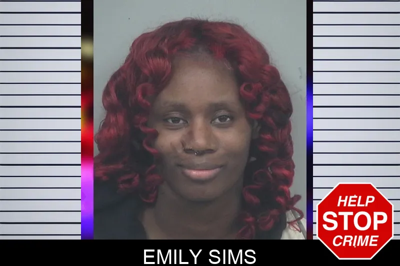 Emily Sims mugshot