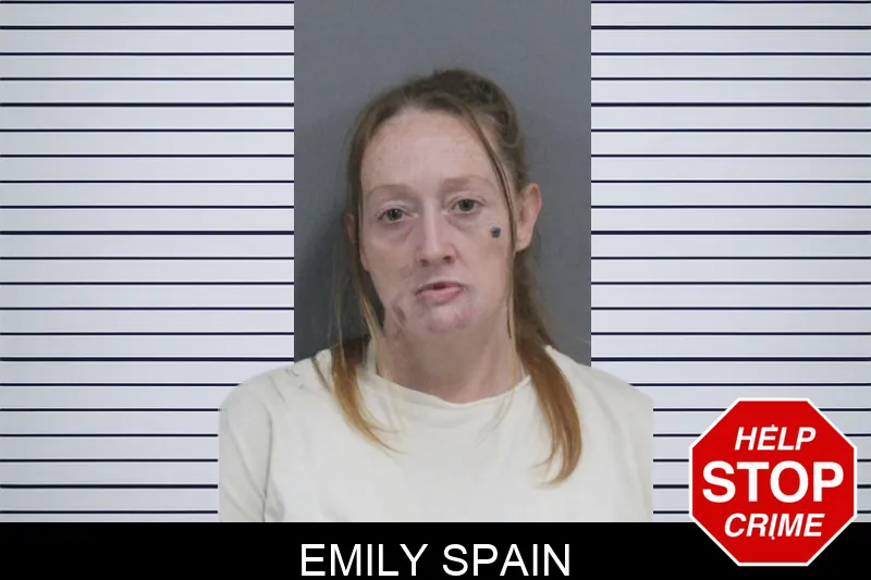 Emily Spain mugshot – Catoosa County , Georgia Emily Spain mugshot