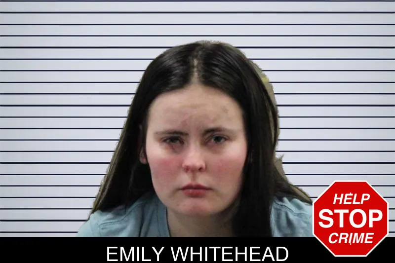 Emily Whitehead Mugshots