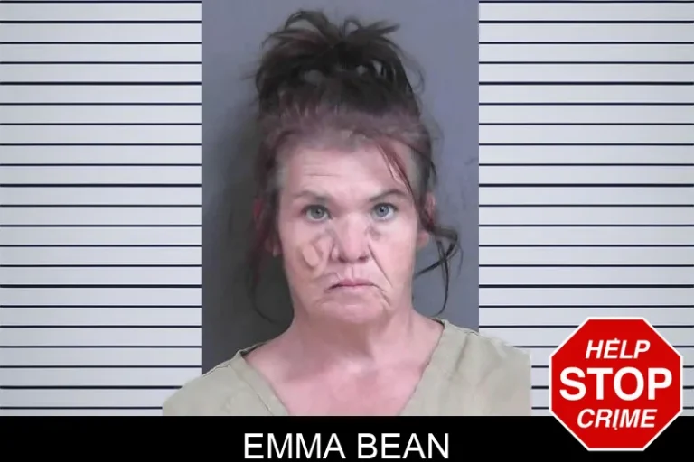 Emma Bean mugshot – Gordon County , Georgia Emma Bean