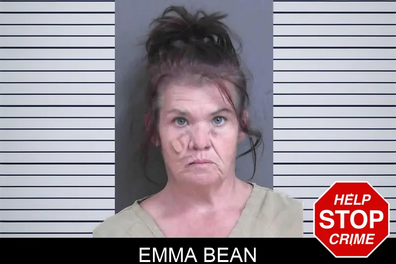 Emma Bean mugshot – Gordon County , Georgia Emma Bean mugshot