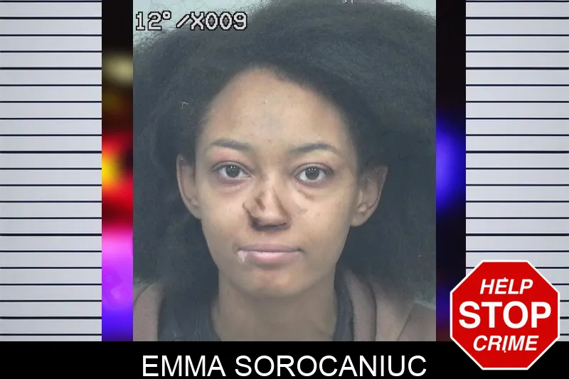 Emma Sorocaniuc mugshot – Gwinnett County , Georgia Emma Sorocaniuc mugshot