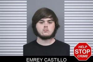 Emrey Castillo mugshot