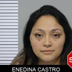 Enedina Castro Mugshots