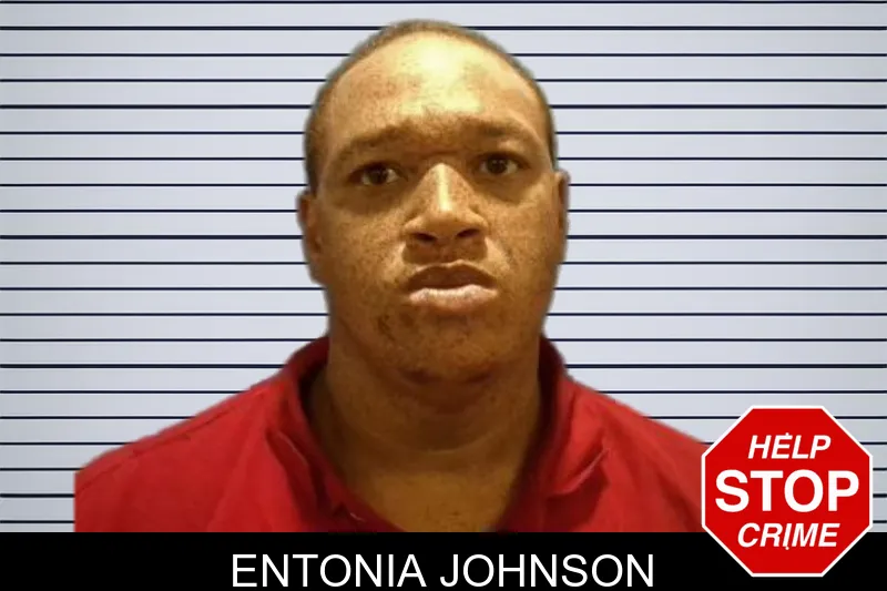 Entonia Johnson Mugshots