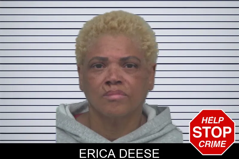 Erica Deese Mugshots