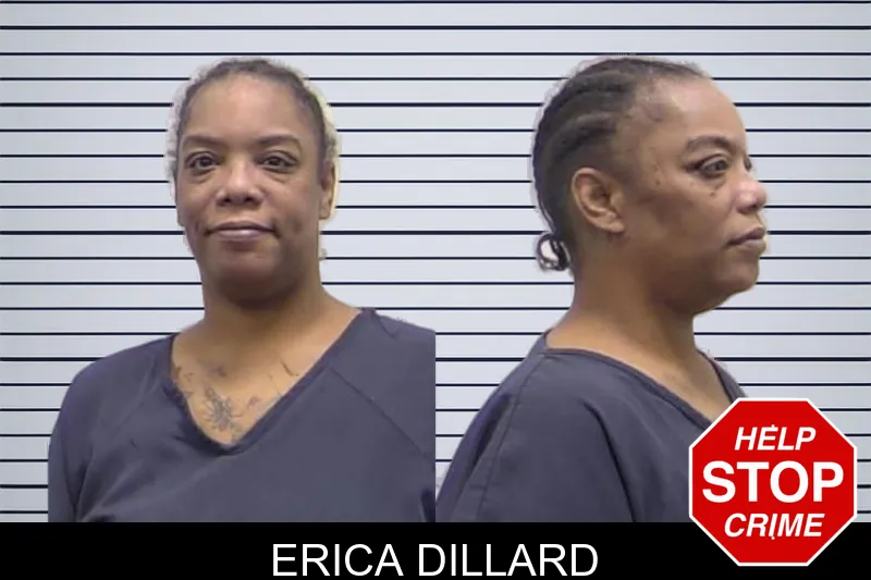 Erica Dillard mugshot