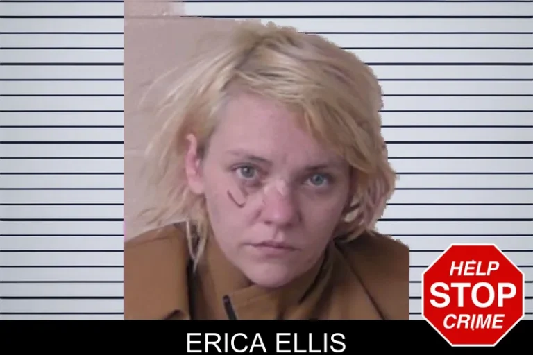 Erica Ellis mugshot – Walker County , Georgia Erica Ellis