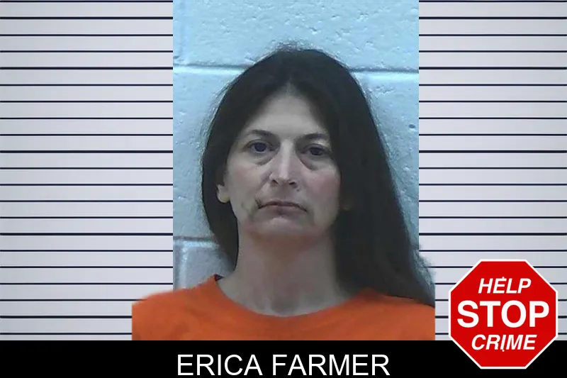 Erica Farmer Mugshots