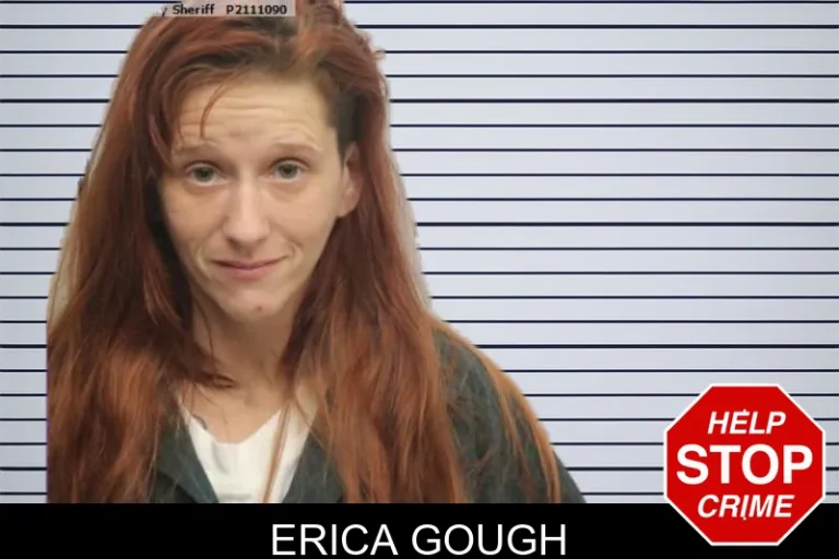 Erica Gough mugshot – Chatham County , Georgia Erica Gough