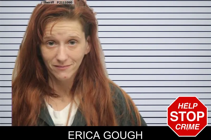 Erica Gough Mugshots