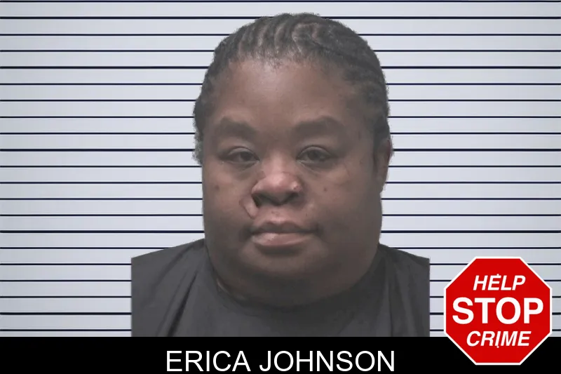 Erica Johnson mugshot – Coweta County , Georgia Erica Johnson mugshot