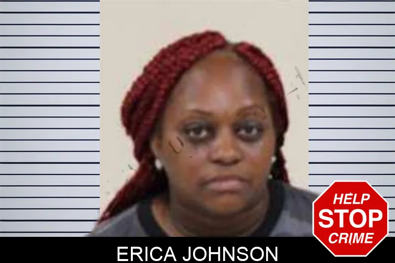 Erica Johnson Mugshots