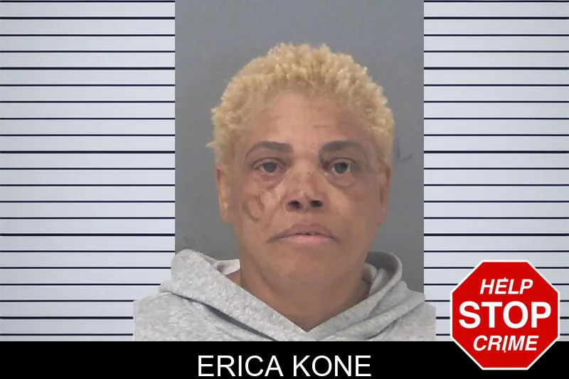 Erica Kone Mugshots