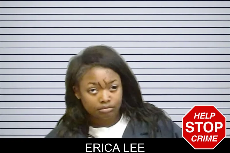 Erica Lee mugshot