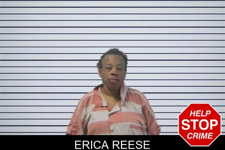 Erica Reese mugshot – Stephens County , Georgia Erica Reese