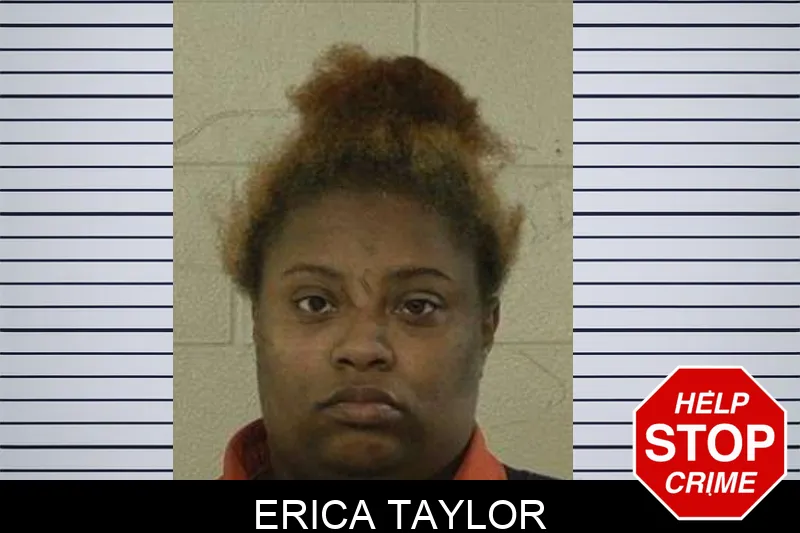 Erica Taylor Mugshots