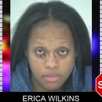 Erica Wilkins Mugshots