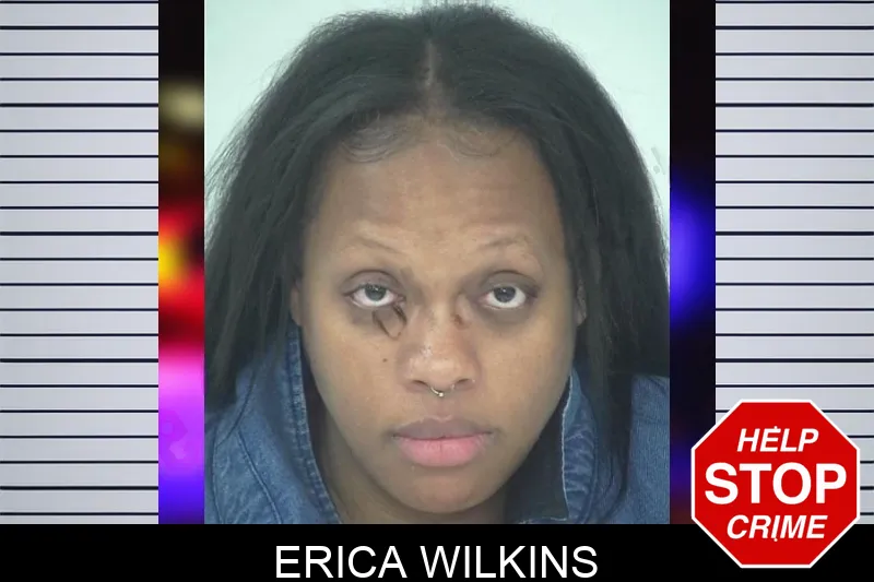 Erica Wilkins Mugshots