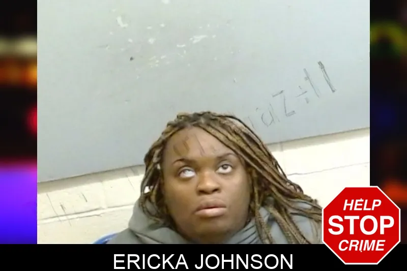 Ericka Johnson mugshot – Fulton County , Georgia Ericka Johnson mugshot
