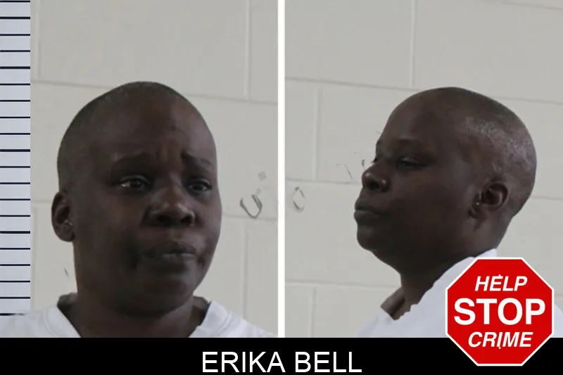 Erika Bell Mugshots