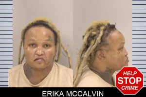 Erika McCalvin mugshot
